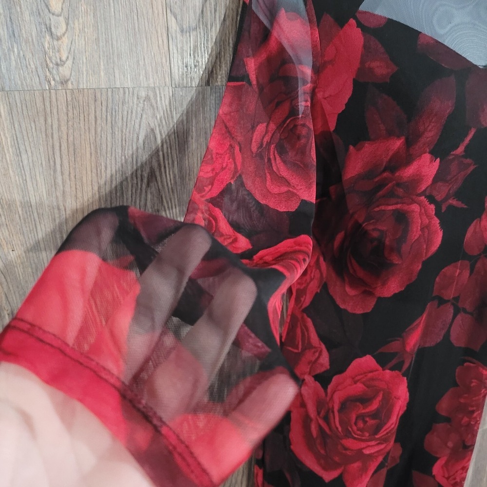 VTG Alexa B Nites Dark Romantic Dress Size 10 Sheer Mesh Roses Whimsigoth Lined - Picture 5 of 12